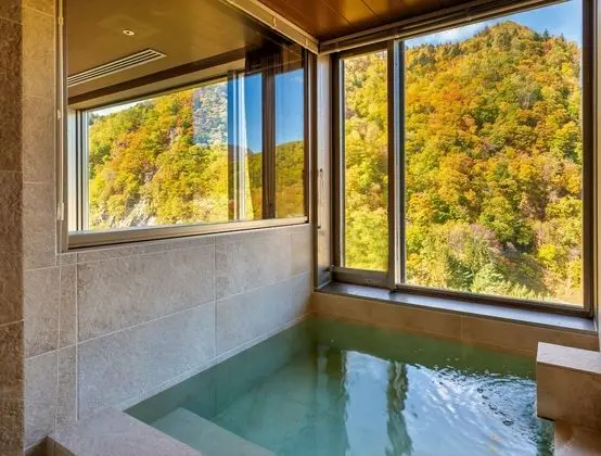 İki Ayrı Yataklı Oda, Sigara İçilmez (Private Hot Spring with a view)