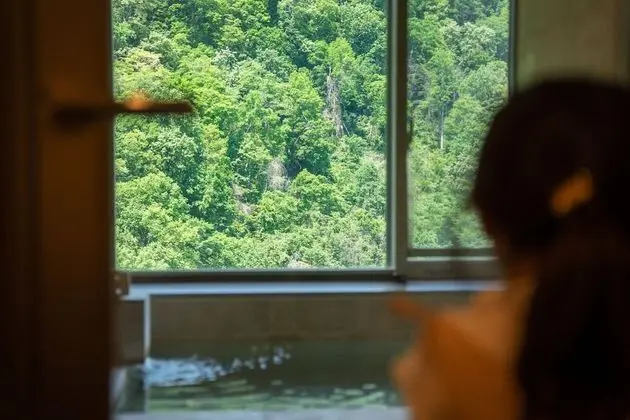 Luxury Oda, Sigara İçilmez (Private Hot Spring with a view)