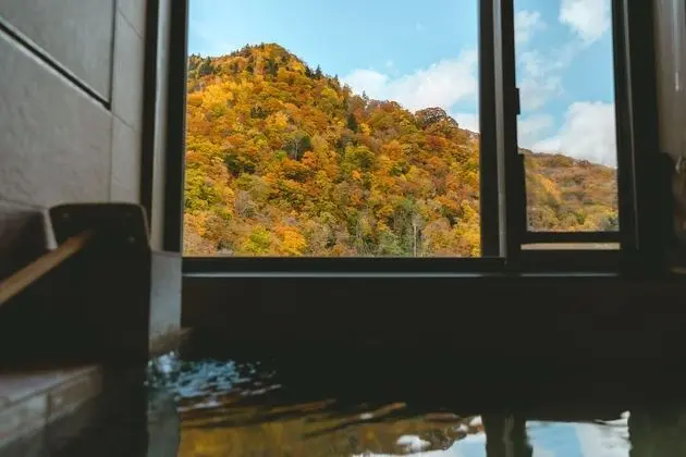 Traditional Oda, Sigara İçilmez (Japanese Western, Privat Hot Spring)