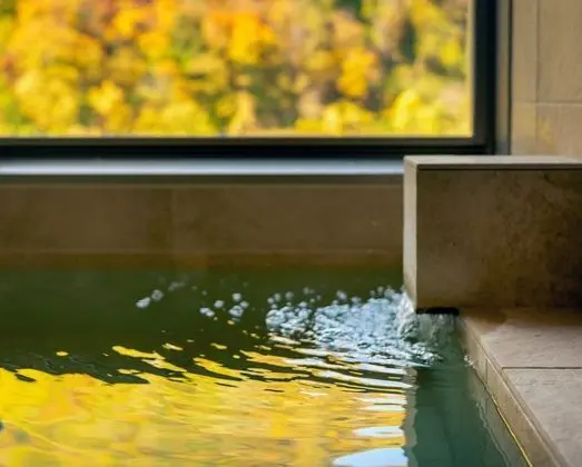 Traditional Oda, Sigara İçilmez (Japanese Western, Privat Hot Spring)
