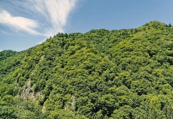 Traditional Oda, Sigara İçilmez (Japanese Western, Privat Hot Spring)