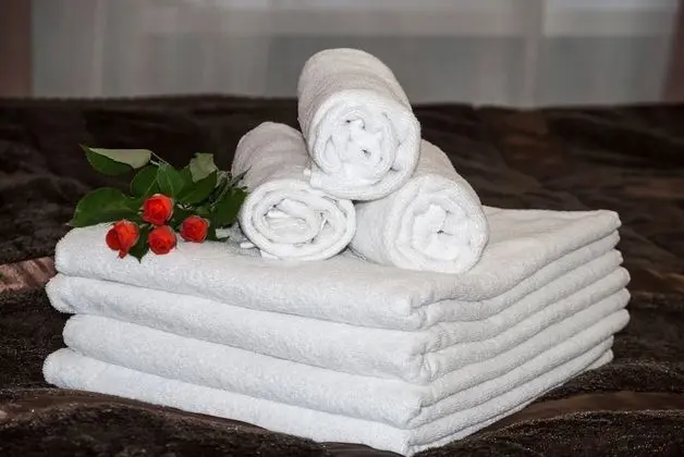 Standard Tek Büyük veya İki Ayrı Yataklı Oda, Şehir Manzaralı