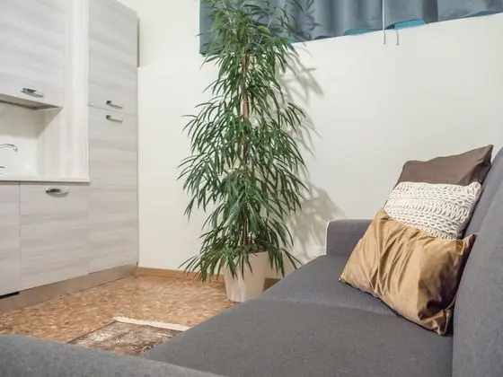 Deluxe Oda, 1 Yatak Odası, Kanal Manzaralı