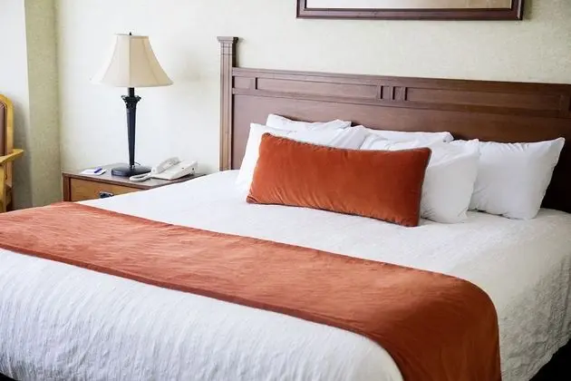 Standard Oda, 1 En Büyük (King) Boy Yatak, Sigara İçilebilir