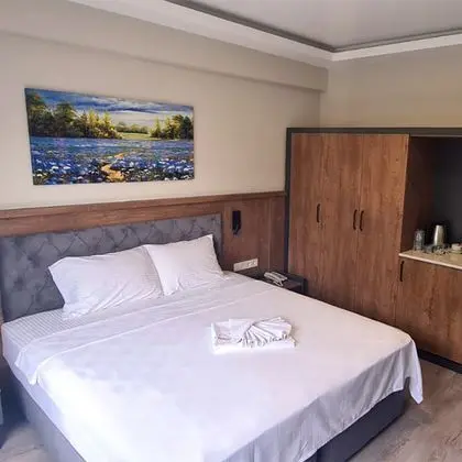 Standart Oda, Dağ Manzaralı, Fransız Balkonlu