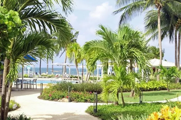 Studio 2 Queen Beds- Island View