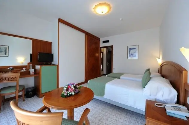 Basic Tek Büyük veya İki Ayrı Yataklı Oda, 1 Yatak Odası, Şehir Manzaralı