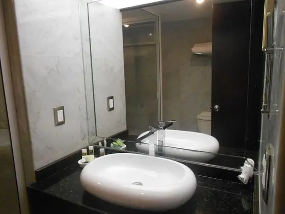 Standard Apart Daire, 1 En Büyük (King) Boy Yatak, Şehir Manzaralı