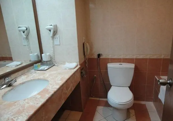 Superior İki Ayrı Yataklı Oda