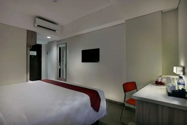 Deluxe Tek Büyük Yataklı Oda, 1 En Büyük (King) Boy Yatak
