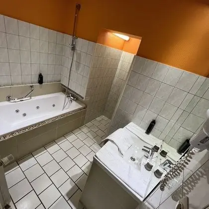 Tek Büyük Yataklı Oda (Privilège - 1or2 persons)