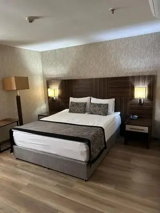 Standart Oda, Şehir Manzaralı