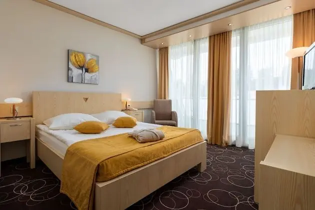 Single room - park view