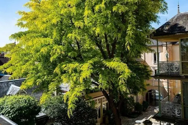 Deluxe Süit, Avlu Manzaralı