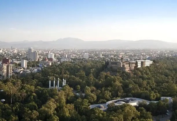 Deluxe Tek Büyük Yataklı Oda, 2 Çift Kişilik Yatak, Park Manzaralı