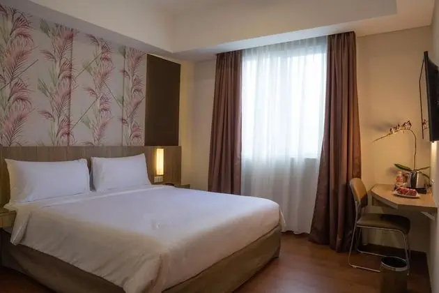 Standard Tek Büyük Yataklı Oda, 1 Çift Kişilik Yatak