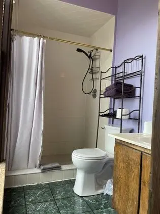 Tek Büyük Yataklı Oda, Engellilere Uygun (Drawing Room)