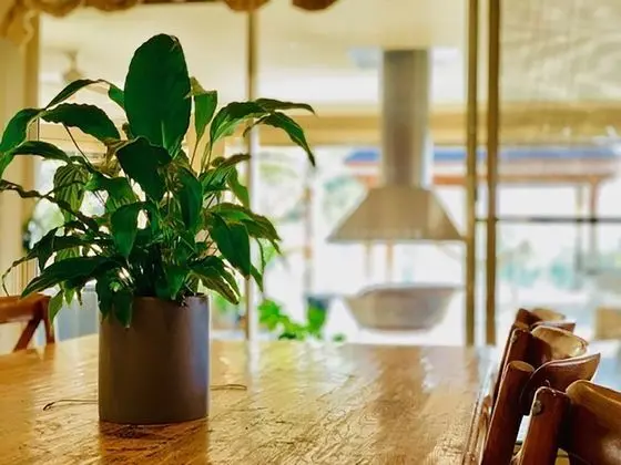 Grand Ev