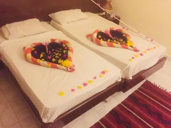 Deluxe İki Ayrı Yataklı Oda