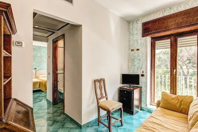 Classic Tek Büyük veya İki Ayrı Yataklı Oda (Hermitage)
