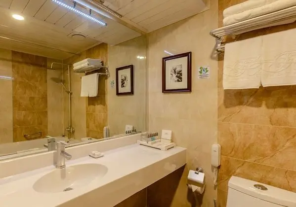 Standard Oda, 1 Büyük (Queen) Boy Yatak