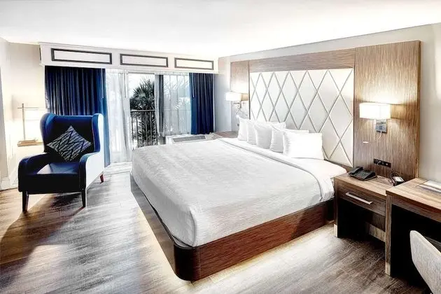 Oda, 1 En Büyük (King) Boy Yatak ve Çekyat, Sigara İçilmez (Efficiency Suite, 2 Person Sofabed)