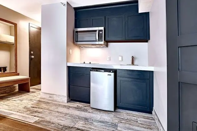 Oda, 1 En Büyük (King) Boy Yatak ve Çekyat, Sigara İçilmez (Efficiency Suite, 2 Person Sofabed)