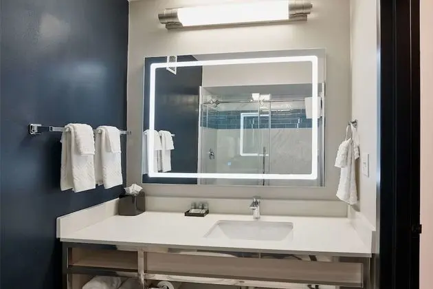 Oda, 1 En Büyük (King) Boy Yatak ve Çekyat, Sigara İçilmez (Efficiency Suite, 2 Person Sofabed)