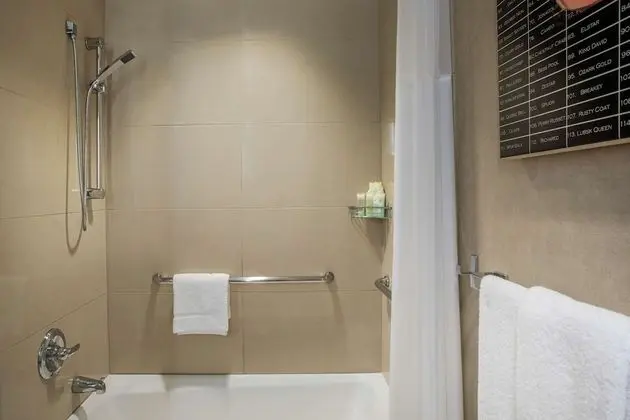 Oda, 1 En Büyük (King) Boy Yatak, Engellilere Uygun (Shower)