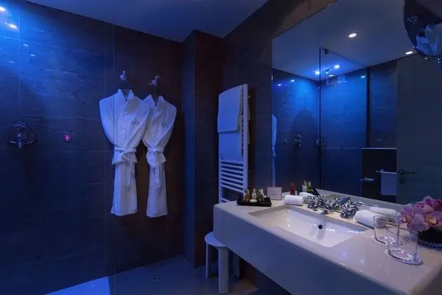 Deluxe Tek Büyük veya İki Ayrı Yataklı Oda, Bahçe Manzaralı (with Spa Access)