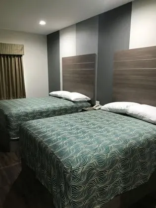 Deluxe Tek Kişilik Oda, 1 En Büyük (King) Boy Yatak, Sigara İçilmez