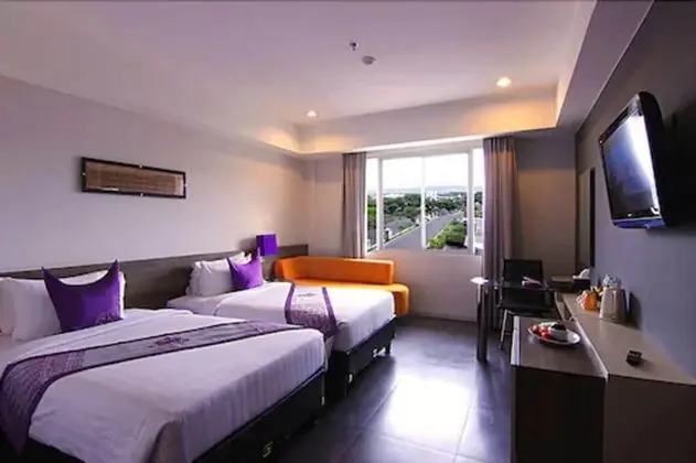 Deluxe İki Ayrı Yataklı Oda, 1 Yatak Odası, Şehir Manzaralı