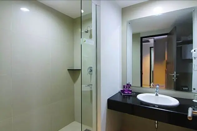 Deluxe İki Ayrı Yataklı Oda, 1 Yatak Odası, Şehir Manzaralı