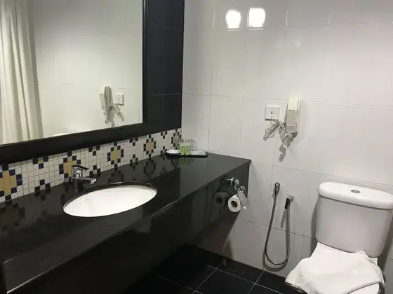 Deluxe Oda, 1 En Büyük (King) Boy Yatak (Executive)