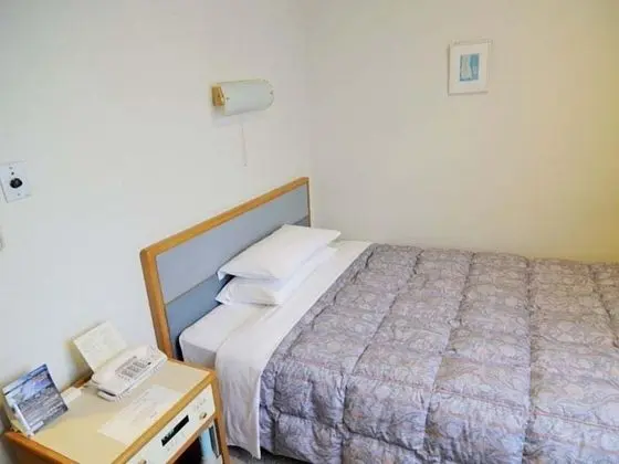 Superior Tek Kişilik Oda, Sigara İçilmez (Annex)