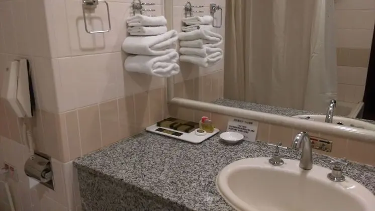Deluxe İki Ayrı Yataklı Oda, Göl Manzaralı