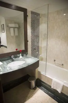 Executive Tek Büyük Yataklı Oda