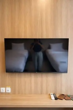 Televizyon
