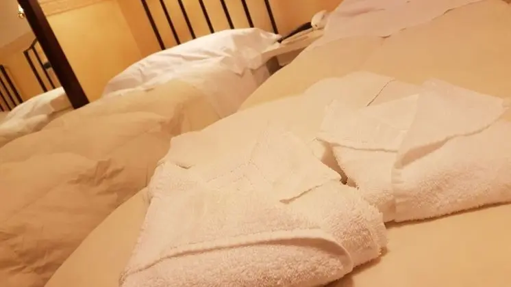 Standard Tek Büyük Yataklı Oda, 2 Tek Kişilik Yatak