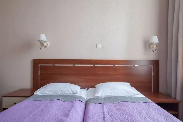 Standard Tek Büyük Yataklı Oda, 2 Tek Kişilik Yatak, Sigara İçilmez, Şehir Manzaralı