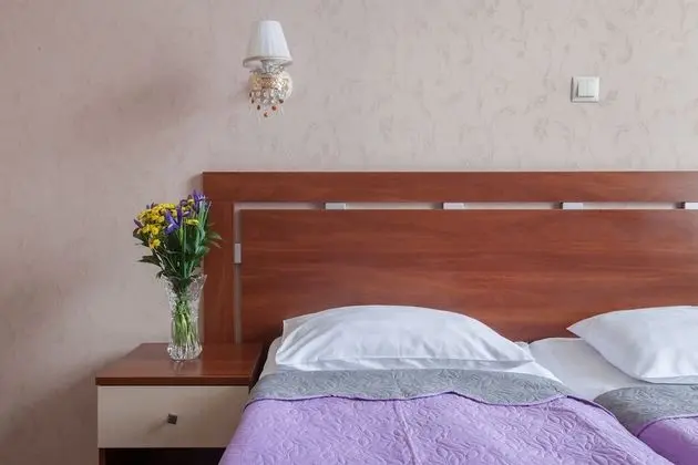 Standard Tek Büyük Yataklı Oda, 2 Tek Kişilik Yatak, Sigara İçilmez, Şehir Manzaralı