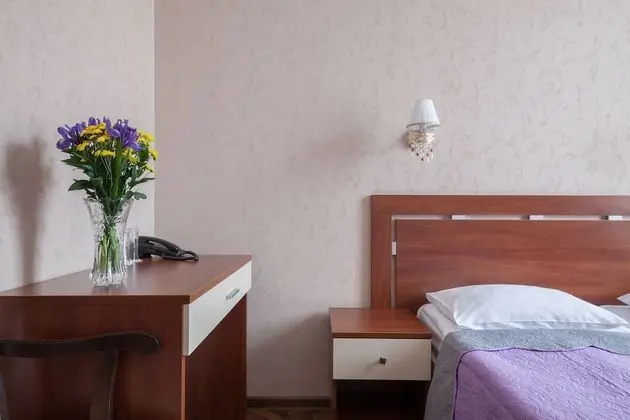 Standard Tek Büyük Yataklı Oda, 2 Tek Kişilik Yatak, Sigara İçilmez, Şehir Manzaralı