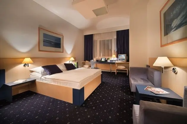 Comfort Tek Büyük veya İki Ayrı Yataklı Oda, Şehir Manzaralı