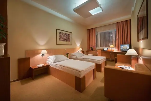 Comfort Tek Büyük veya İki Ayrı Yataklı Oda, Şehir Manzaralı