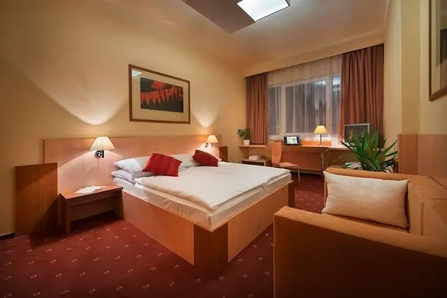 Comfort Tek Büyük veya İki Ayrı Yataklı Oda, Şehir Manzaralı