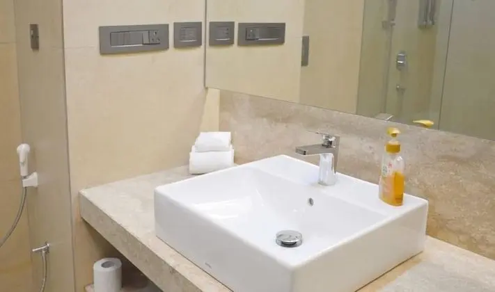 Deluxe Oda, 1 Çift Kişilik Yatak, Sigara İçilmez