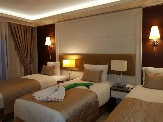 Deluxe Üç Kişilik Oda, Birden Çok Yatak, Sigara İçilmez