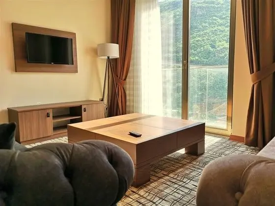 Junior Suite large