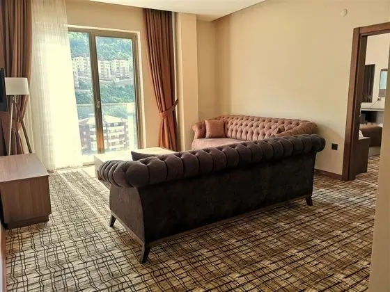 Junior Suite large