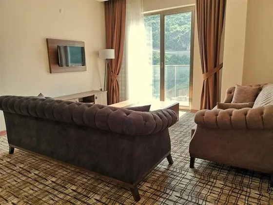 Junior Suite large